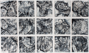 Onions (1995), 21,5 x 21,5 cm each, acrylic on Masonite, inv. PH244B